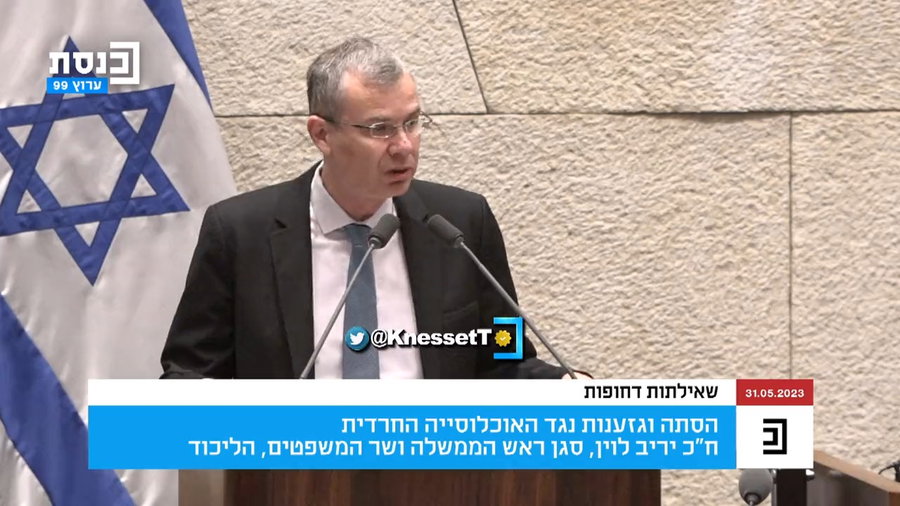 לוין נואם במליאה