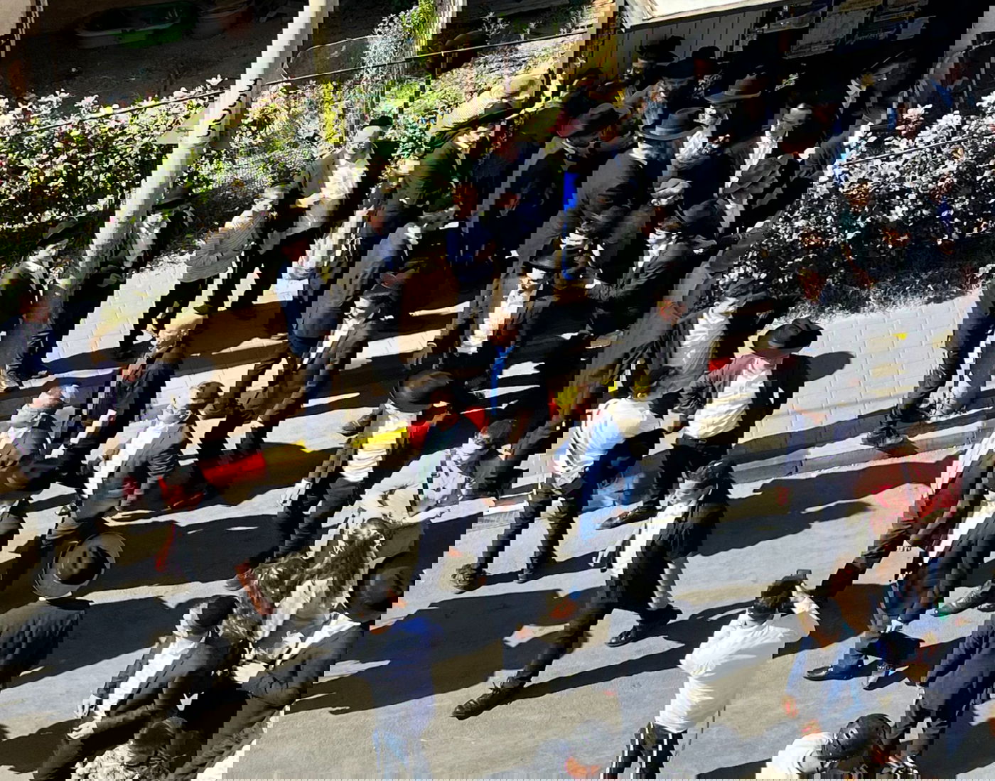 זופניק בכיכר • כל התמונות, הנייעס והחשיפות של השבוע