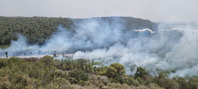 גל שריפות ברחבי הארץ; כבישים נחסמו לתנועת כלי רכב