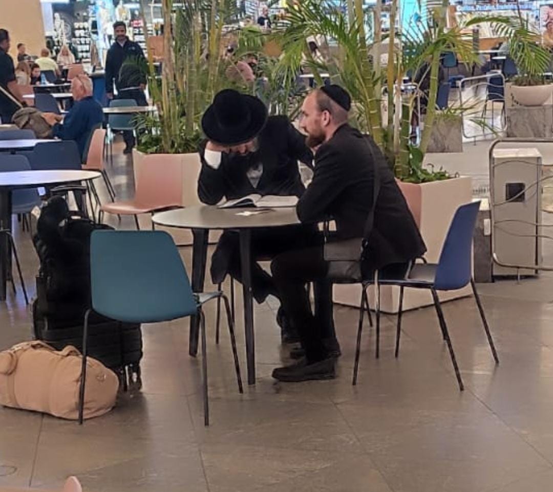 זופניק בכיכר • כל התמונות, הנייעס והחשיפות של השבוע