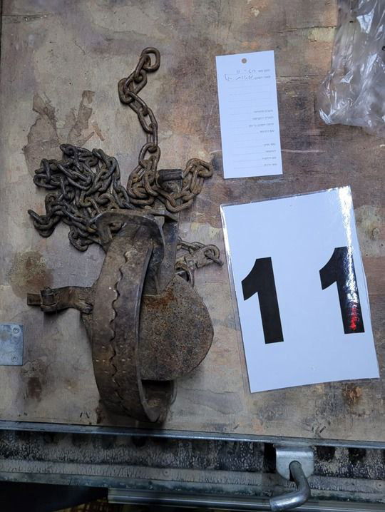 תושב השומרון עסק בציד וסחר לא חוקי, נתפס ונדון למאסר