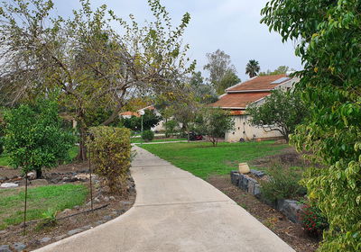 מזג האוויר: היום - אביבי ונוח, בחמישי: חם עד שרבי