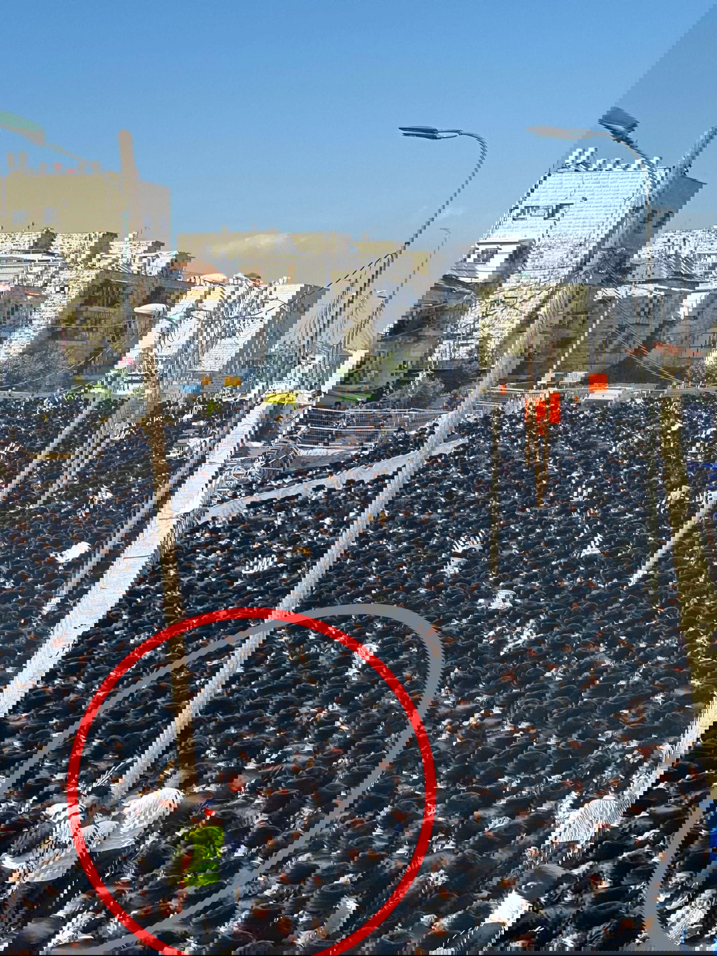 זופניק בכיכר • כל התמונות, הנייעס והחשיפות של השבוע