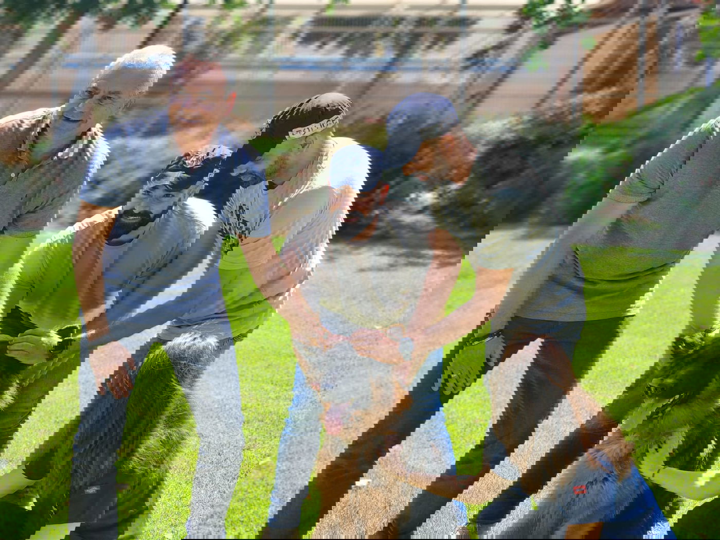 מאמץ את הכלב