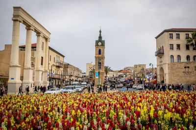 מגדל השעון ביפו