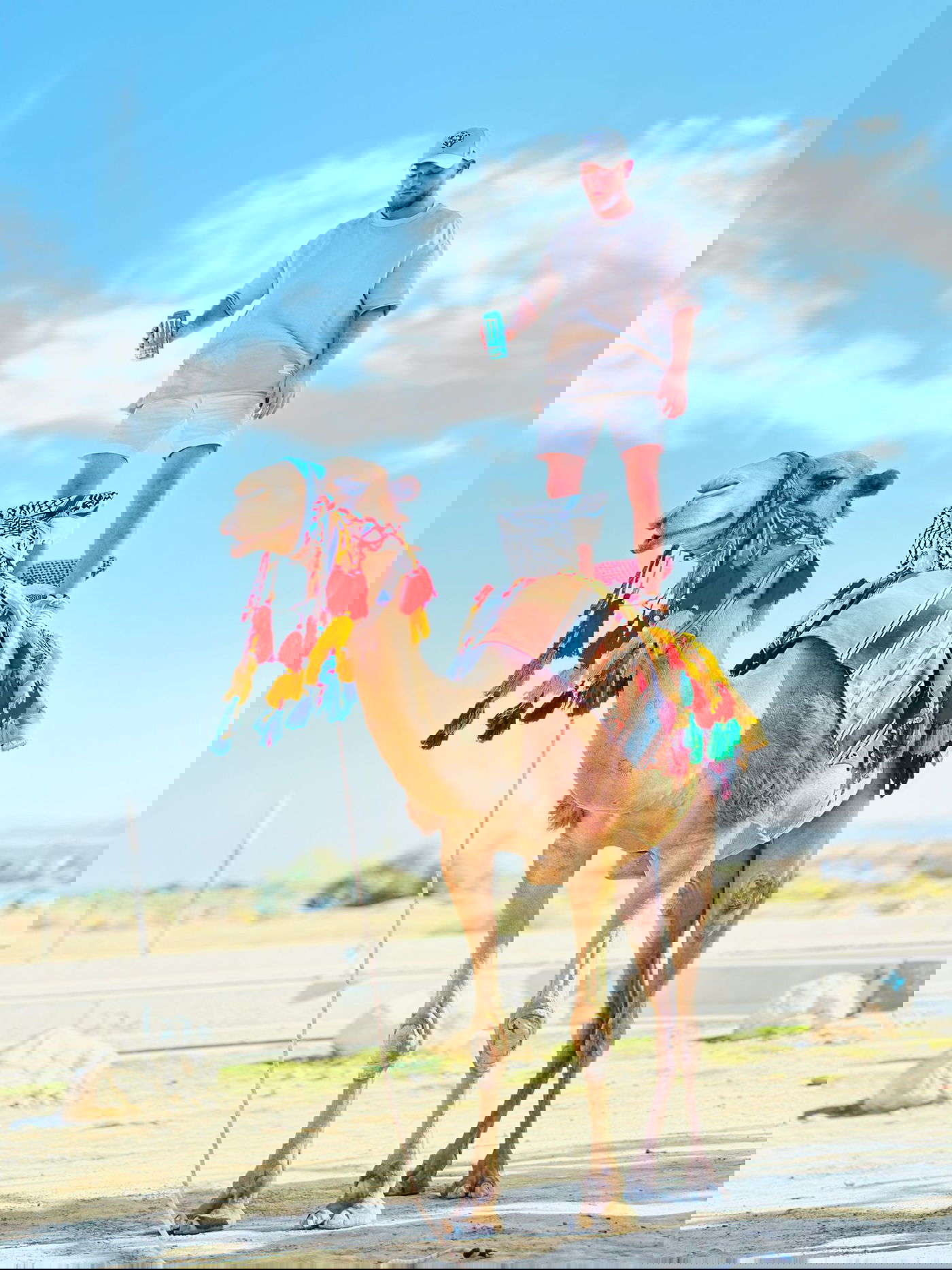 זופניק בכיכר • כל התמונות, הנייעס והחשיפות של השבוע