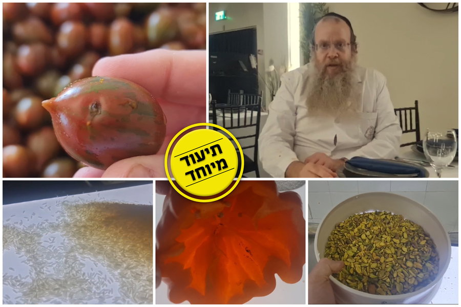 מומחה הכשרות הרב יוסף דורפמן עם כל הטיפים החשובים