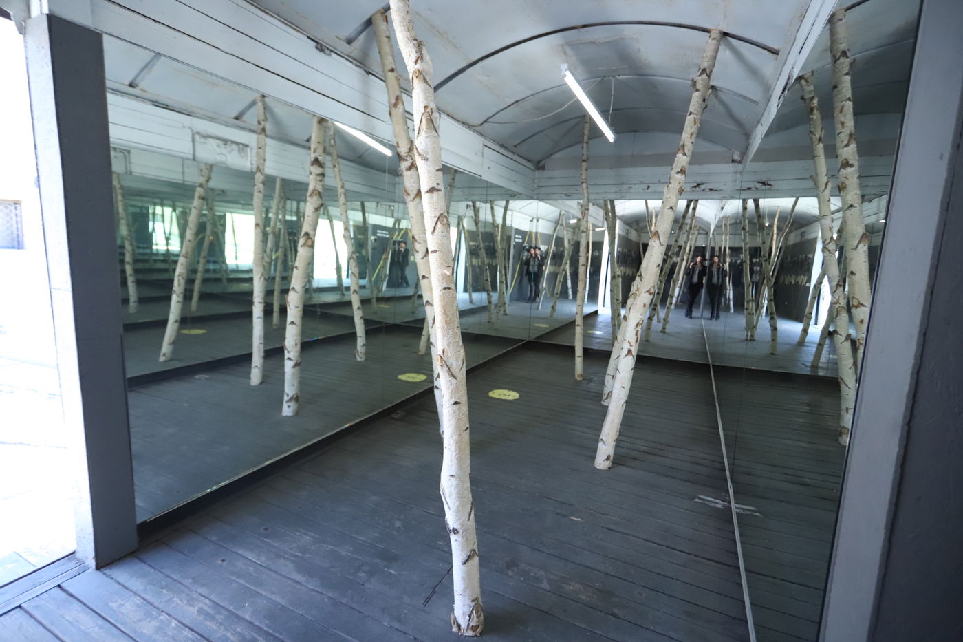 מוזיאון השואה, הרחובות וההוואי | הצלם מפריז תיעד את ריגה