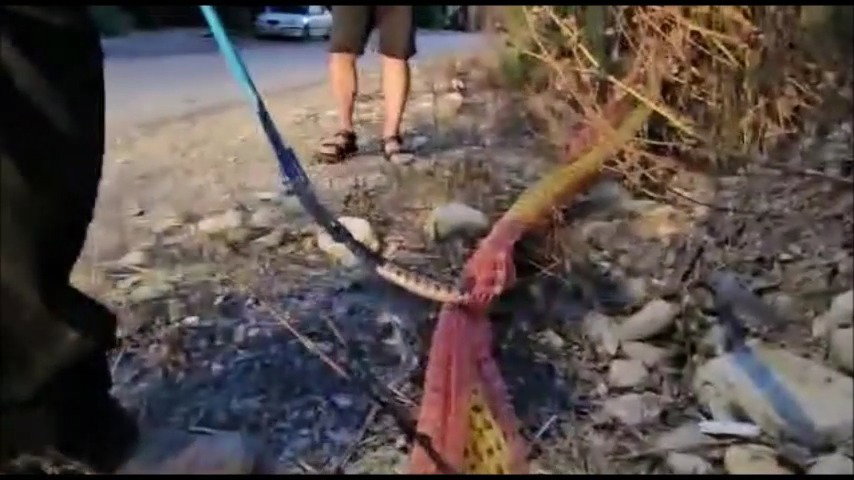 חילוץ הנחש