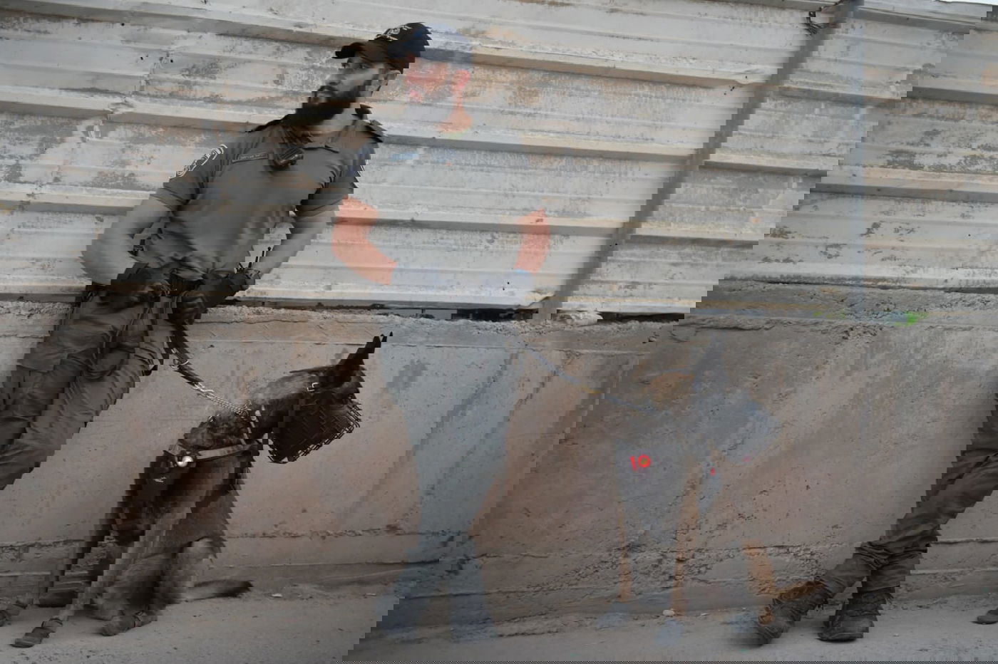 פשיטת ענק על חשודים בלקיה | החשד: הונאה של מיליונים