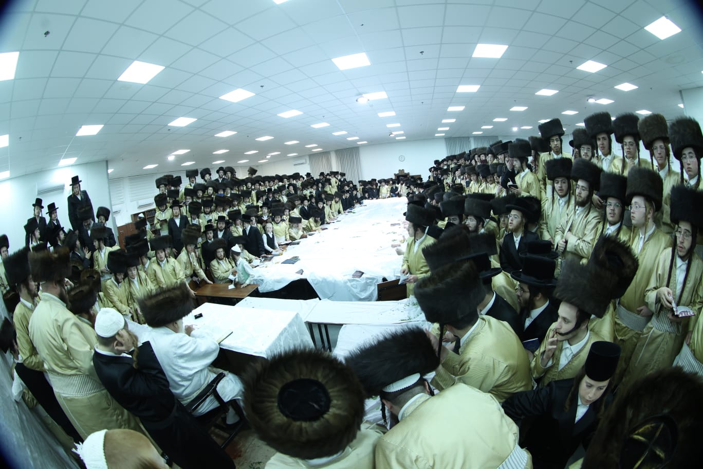 היסטוריה: האדמו"ר מתולדות אהרן שבת לראשונה באלעד