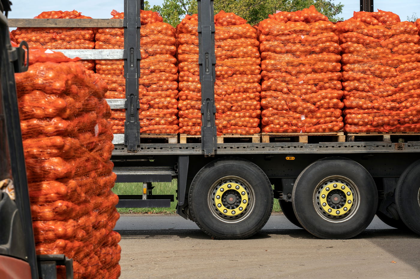 משאית עם ירקות | אילוסטרציה