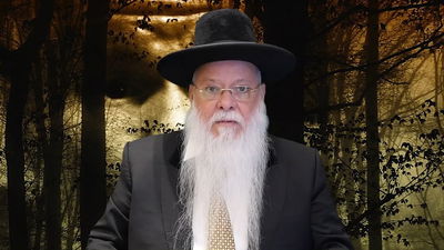 הרב מרדכי מלכא על פרשת קרח • צפו