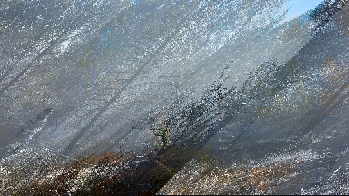 השריפה בעין לבן, היום