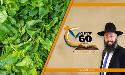 האם נענע חייב בתרומות ומעשרות? • צפו 