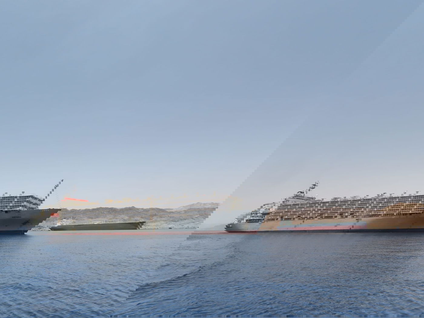 יתקוף אזרחים? כריש טיגרסי תועד סמוך לחוף באילת • צפו