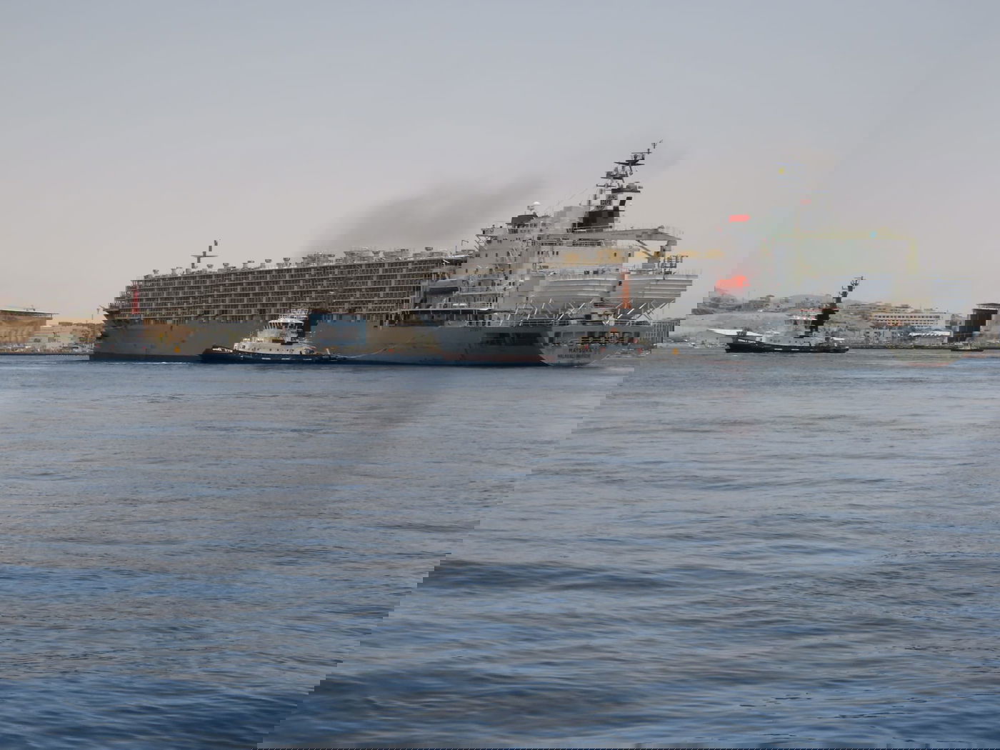 יתקוף אזרחים? כריש טיגרסי תועד סמוך לחוף באילת • צפו