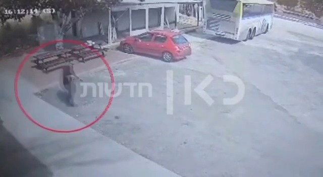 התיעוד מהפיגוע בעלי
