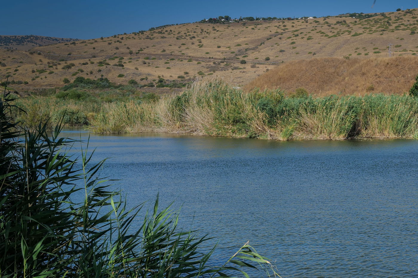 התחזית: הטמפרטורות תהיינה רגילות לעונה 