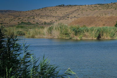 התחזית: הטמפרטורות תהיינה רגילות לעונה 
