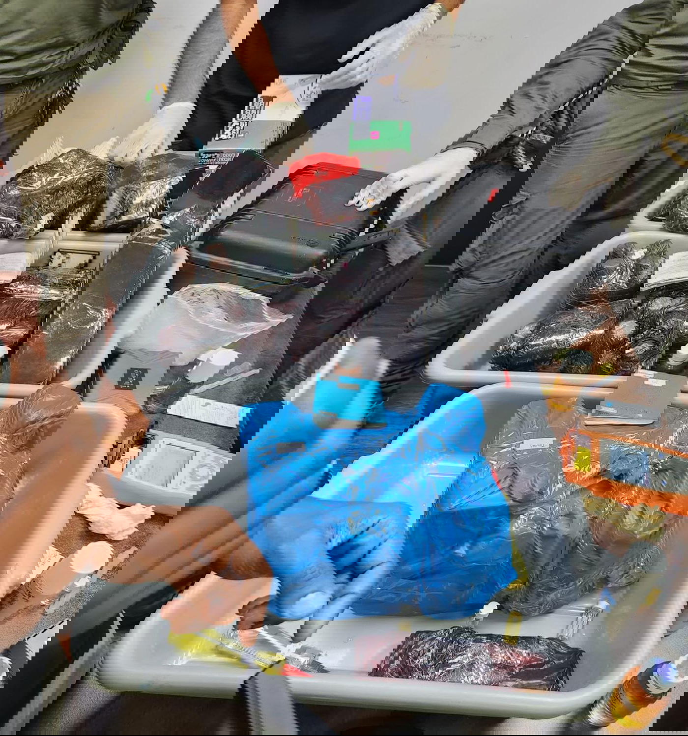 החומרים שנתפסו