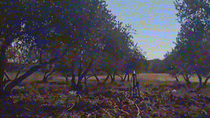 רקטה שוגרה הבוקר מאזור ג'נין; דובר צה"ל: "הרקטה לא היוותה סכנה" | צפו בשיגור