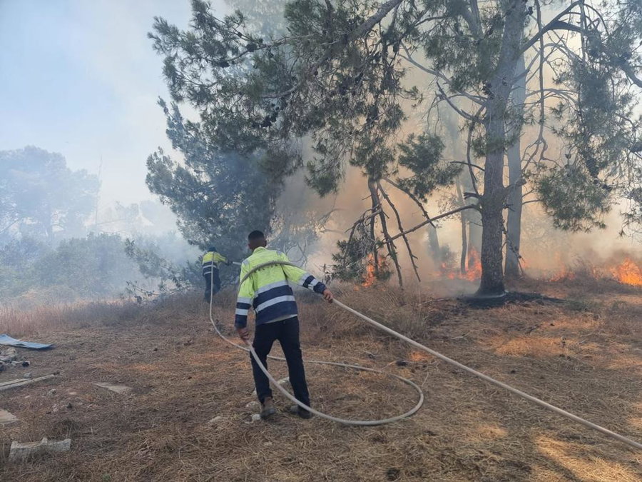 השריפה באורנים