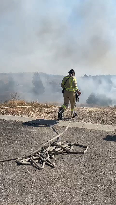 לוחמי האש בזירת הלהבות