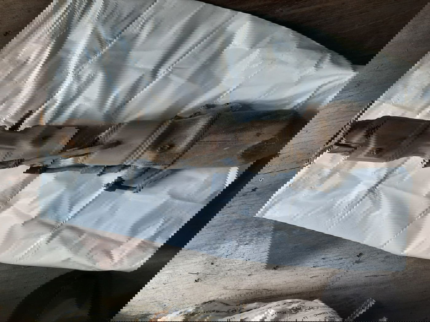 השוטרים ארבו וחוליית גנבי ממירים קטליטים - נעצרה | צפו