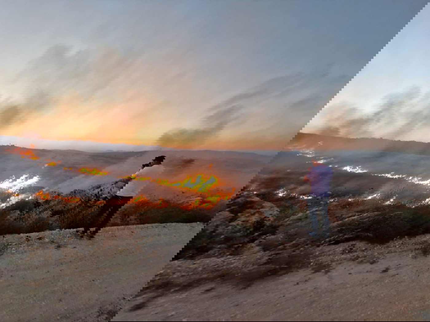 זופניק בכיכר • כל התמונות, הנייעס והחשיפות של השבוע