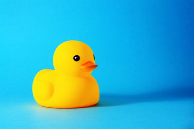 סטוריטלינג ל(בל)עם / הרב אבי אברהם