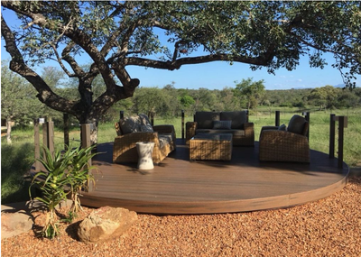 העץ שולט באופנה  באופן ניצחי