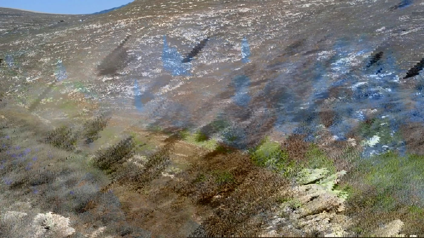 מחבלים הציתו שריפה ליד ההתנחלות חומש; ישראלי נפצע