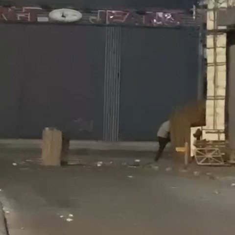 פגיעת רוגר במיידה אבנים רעול פנים במ.פ שועפאט הערב