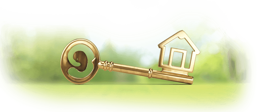 להדריך את הדור הבא