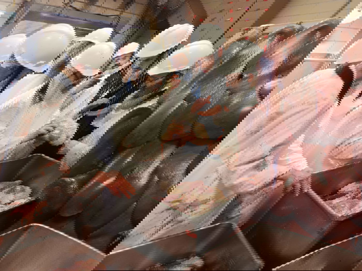 האדמו"ר מסאטמר ביקר במשחטה בפאסטוויל איווה | תיעוד