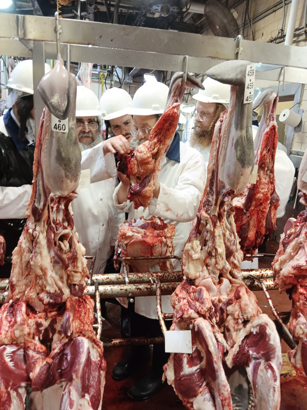 האדמו"ר מסאטמר ביקר במשחטה בפאסטוויל איווה | תיעוד