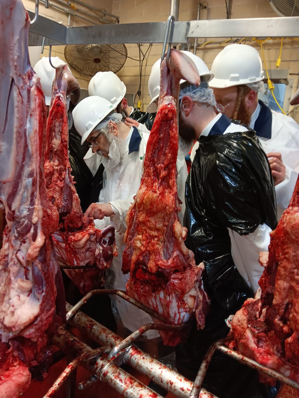 האדמו"ר מסאטמר ביקר במשחטה בפאסטוויל איווה | תיעוד