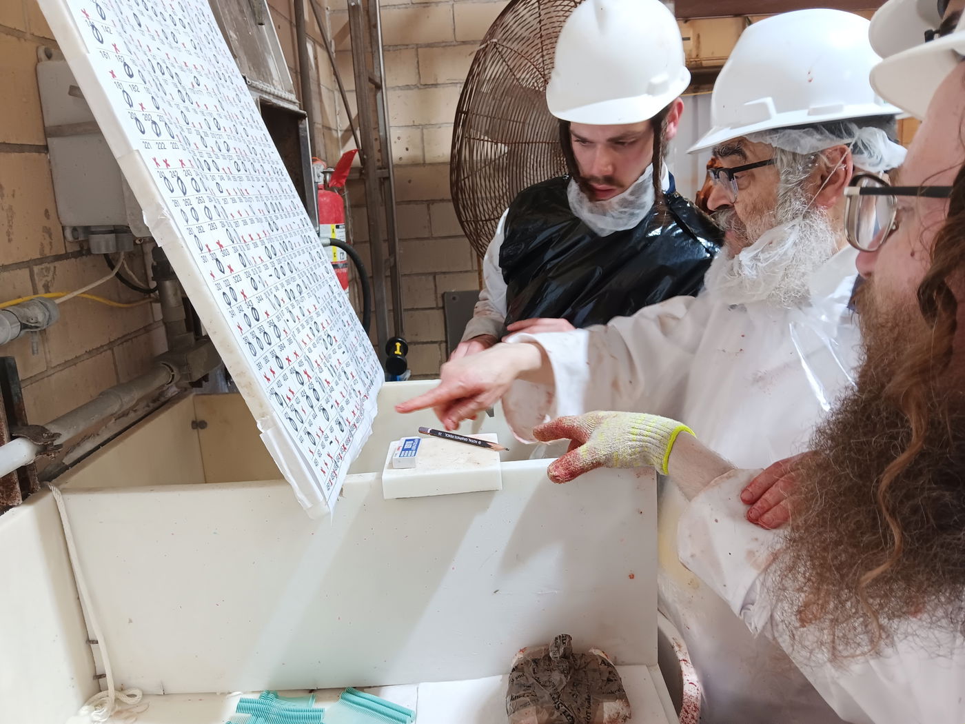 האדמו"ר מסאטמר ביקר במשחטה בפאסטוויל איווה | תיעוד