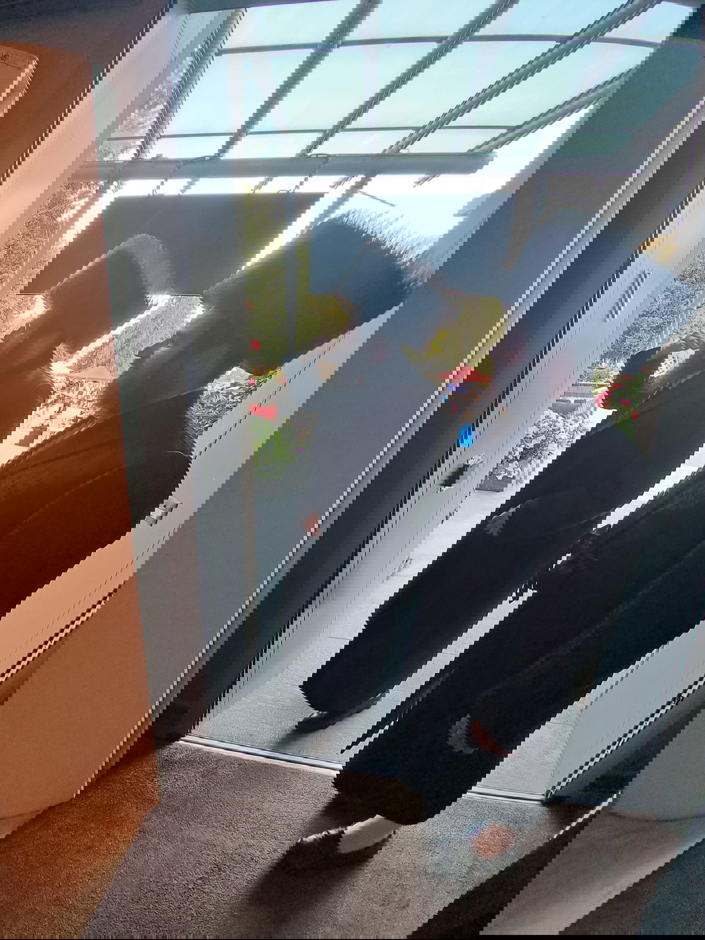 האדמו"ר מפיטסבורג נופש בדאבס בשוויץ | תיעוד