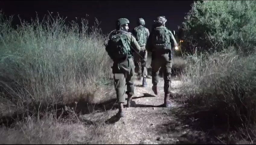 הפעילות הלילה