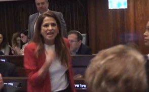 הח"כיות התעמתו במליאה: "אני הגמוניה? בגיל 13 הלכתי לעבוד"