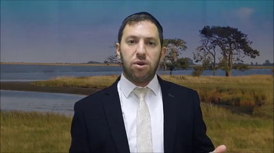 הרב נפתלי וסרמן על פרשת מטות מסעי • צפו