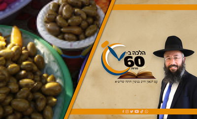 האם מותר לאכול חמוצים בסעודה מפסקת בערב תשעה באב? • צפו 