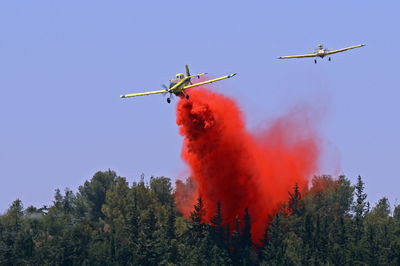 אילוסטרציה