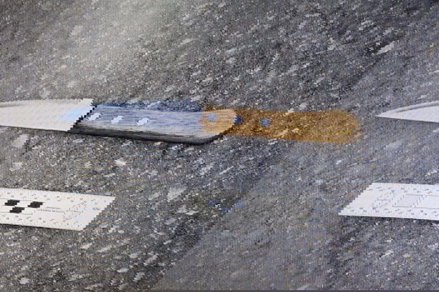 הסכין שנתפסה