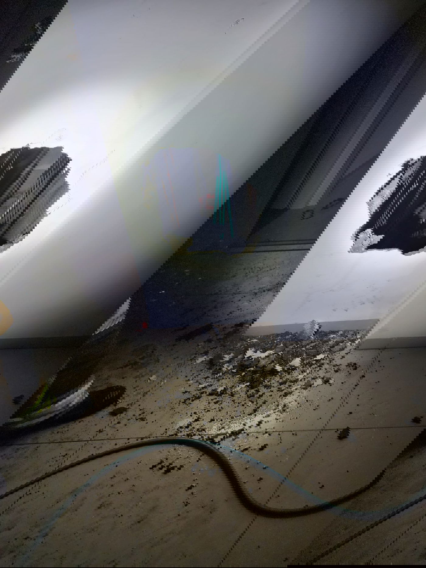 האישה החליטה לישון בסלון - והצילה את חיי בני משפחתה