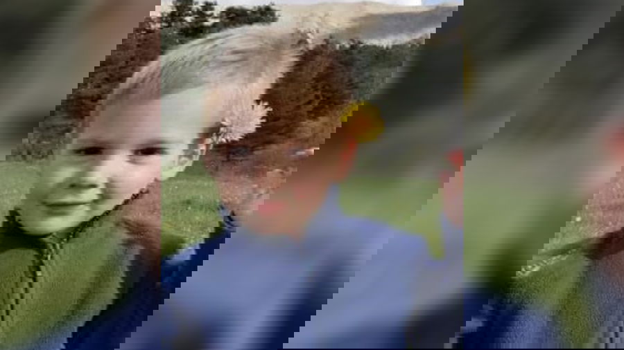 הילד הנעדר, מתוך הכרזה של המשטרה הצרפתית