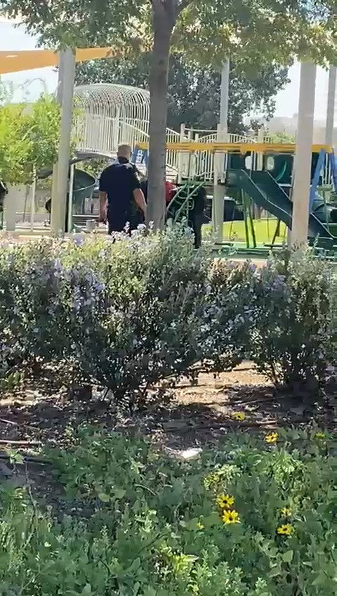 תפיסת הגנב
