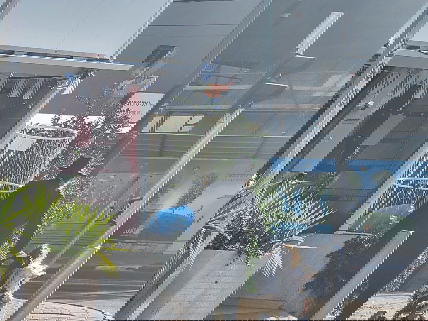 זופניק בכיכר • כל התמונות, הנייעס והחשיפות של השבוע